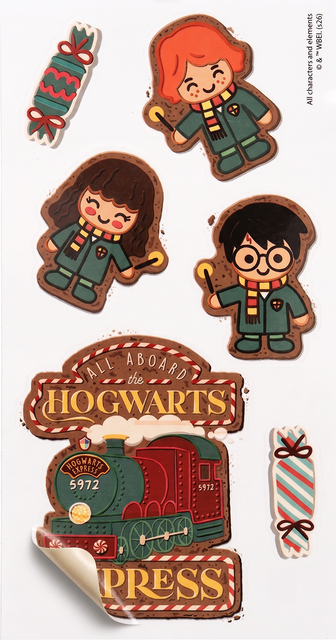 Chaussettes Harry Potter en Boîte
