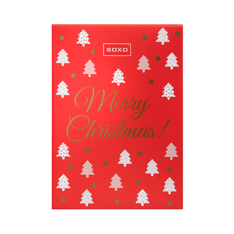 SOXO Merry Christmas gift box Christmas - contient : 1 paire de pantoufles ou 1 thermos ou plusieurs paires de chaussettes