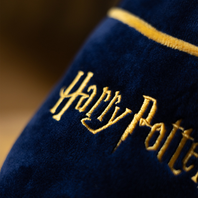 Chaussons pour hommes Harry Potter