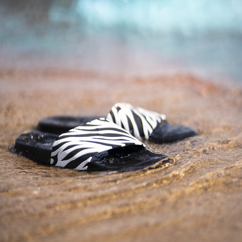 Tongs de plage SOXO Zebra Premium pour femmes et hommes, idéales pour les vacances d'été et la piscine, en caoutchouc