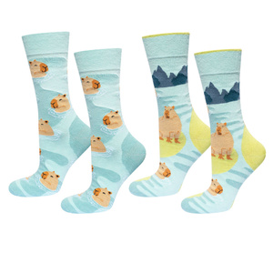 Chaussettes de bain Capybara SOXO Hommes - 2 paires