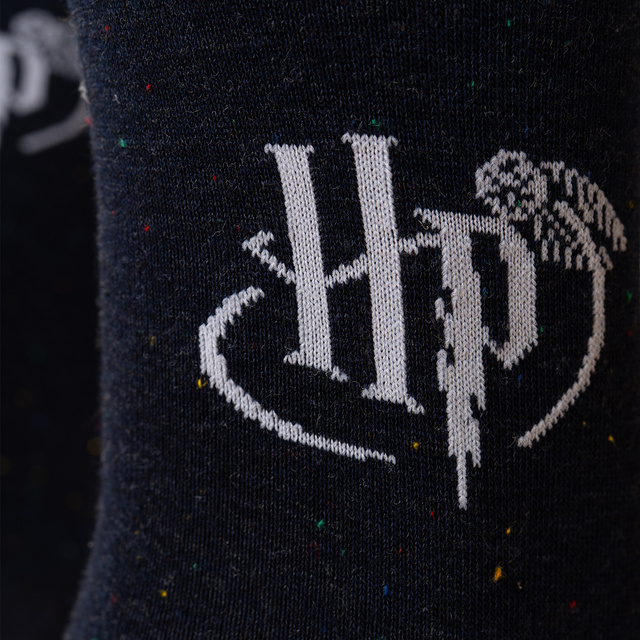 Coffret Cadeau Chaussettes Harry Potter + Mug Isotherme