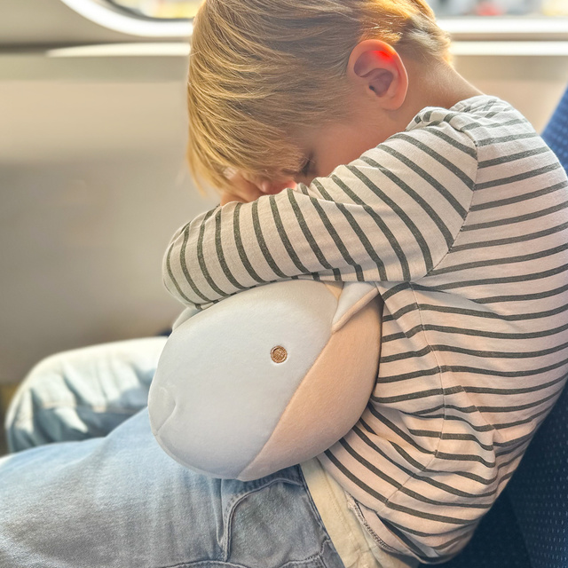MOMO WAY Coussin dauphin multifonctionnel