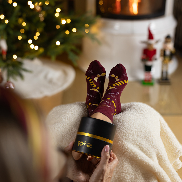 Chaussettes en tube avec motif Harry Potter