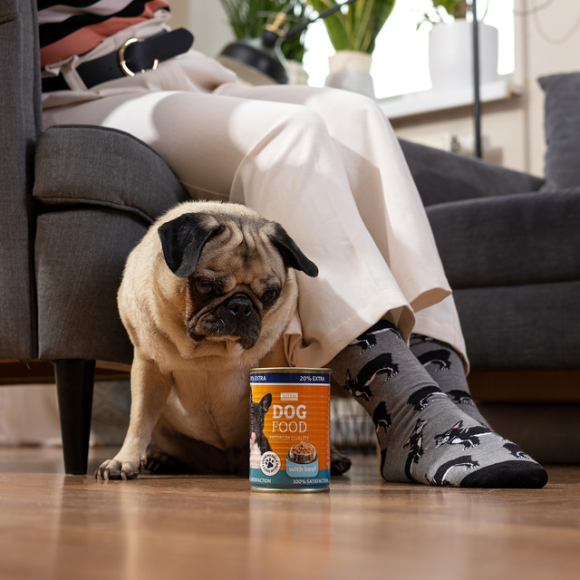 Chaussettes bouledogue en boîte pour hommes SOXO 