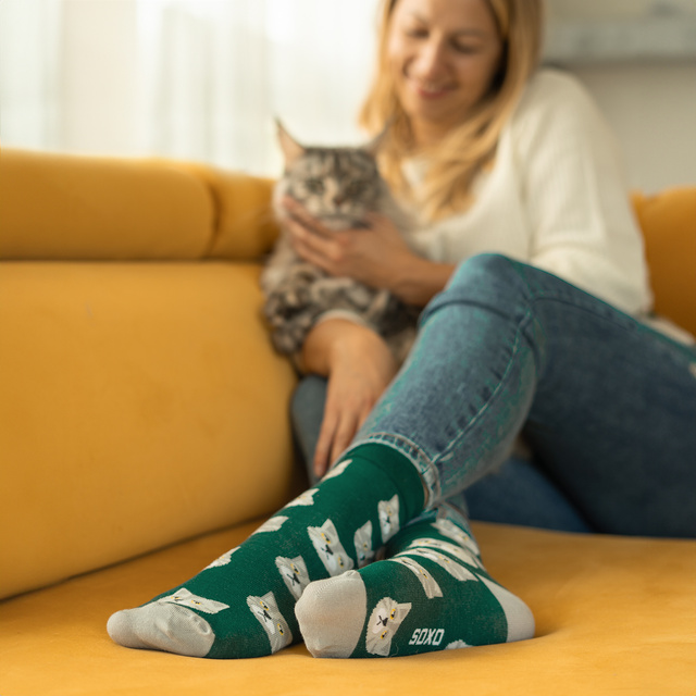 Chaussettes à chat en boîte SOXO pour hommes 