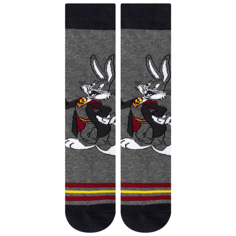 Lot de 2x chaussettes pour hommes Bugs and Daffy