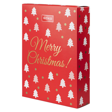 SOXO Merry Christmas gift box Christmas - contient : 1 paire de pantoufles ou 1 thermos ou plusieurs paires de chaussettes