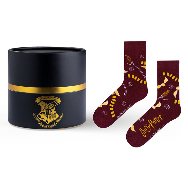 Chaussettes en tube avec motif Harry Potter