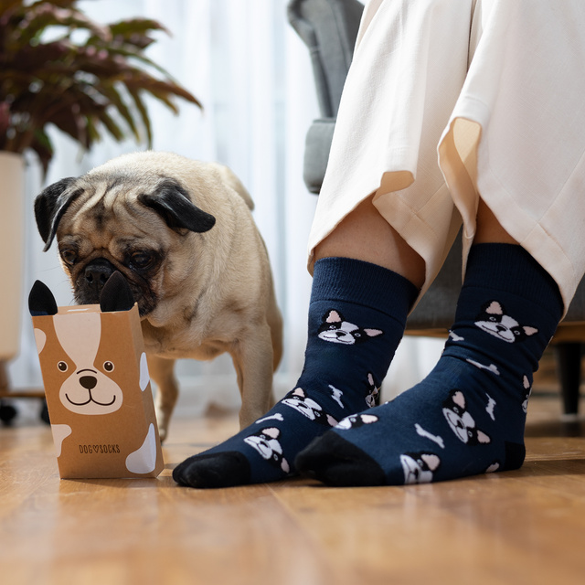 Chaussettes pour femmes | SOXO pour hommes | Chien dans une boîte | idée cadeau idéale | Unisexe