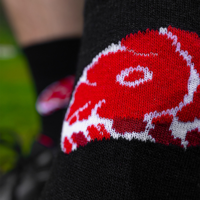 Ensemble de chaussettes à steak et de chaussettes à hamburger dans une boîte