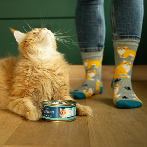 Chaussettes à chat en boîte SOXO pour hommes 