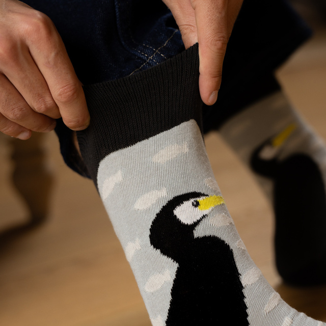 Chaussettes pour hommes SOXO