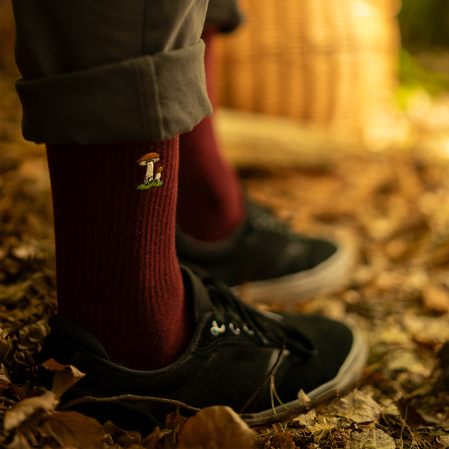 Lot de 4x chaussettes à champignons SOXO pour hommes dans un paquet édition premium