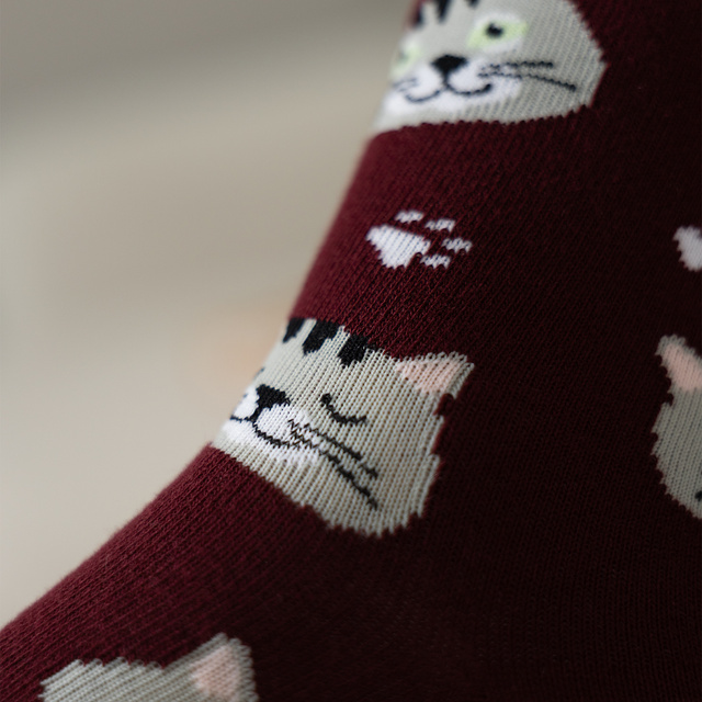 Chaussettes pour femmes | SOXO pour hommes | Chaton dans une boîte | idée cadeau amusante | Unisexe