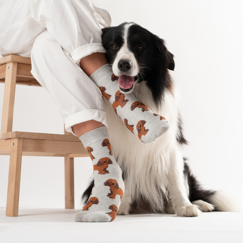 Chaussettes caniches SOXO pour hommes en boîte 