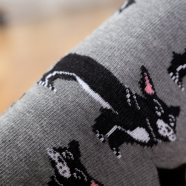 Chaussettes bouledogue en boîte pour hommes SOXO 