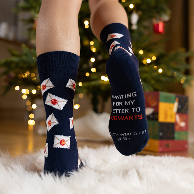 Coffret cadeau avec Chaussettes Harry Potter 24-pack