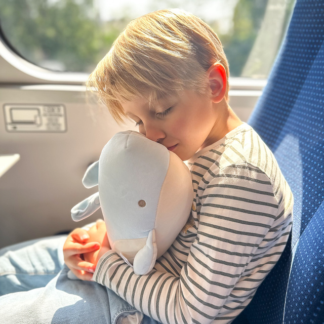MOMO WAY Coussin dauphin multifonctionnel