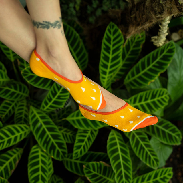 Lot de 6 chaussettes femme SOXO colorées, chaussettes en coton