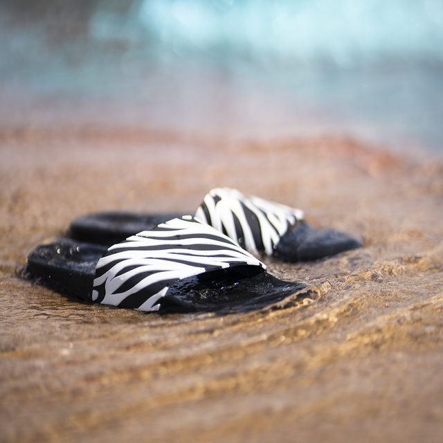 Tongs Comfort de plage pour femme pour hommes SOXO zèbre | Idéal pour des vacances à la plage et une piscine | En caoutchouc