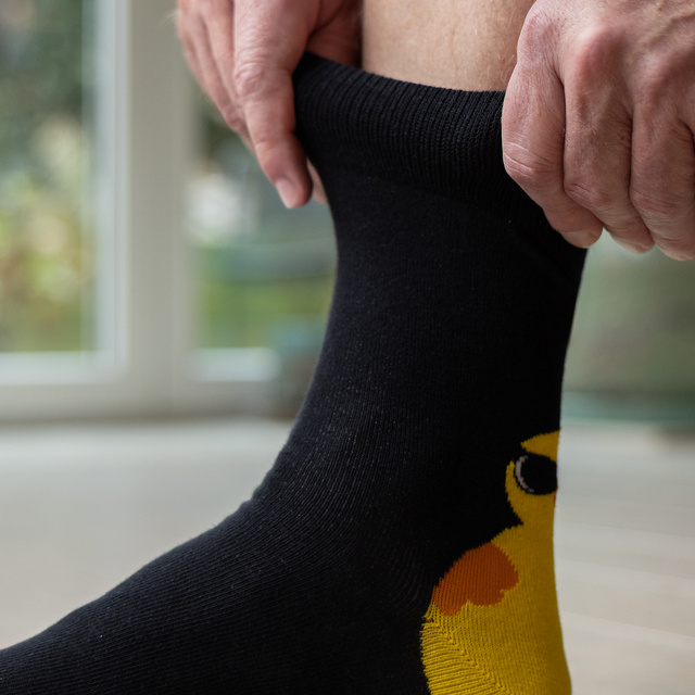 Chaussettes à motif poulet dans un emballage façon carte de vœux