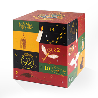 Coffret cadeau avec Chaussettes Harry Potter 24-pack