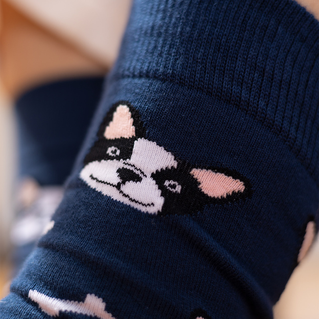Chaussettes pour femmes | SOXO pour hommes | Chien dans une boîte | idée cadeau idéale | Unisexe