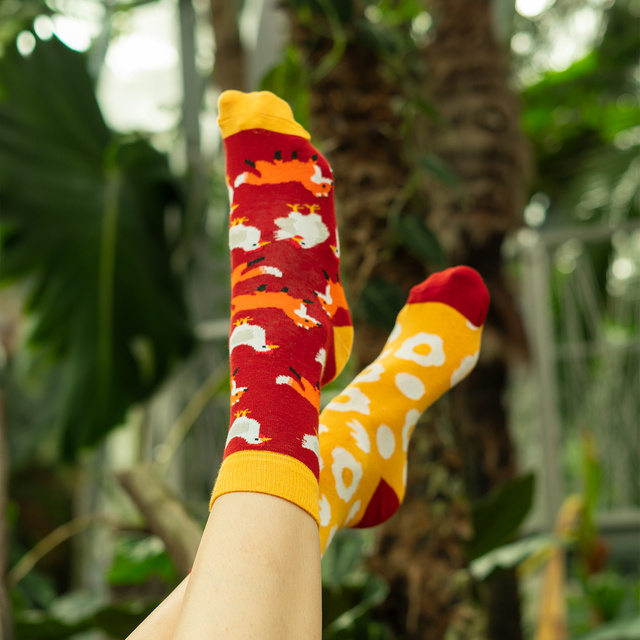 Chaussettes femme colorées SOXO poule et oeuf