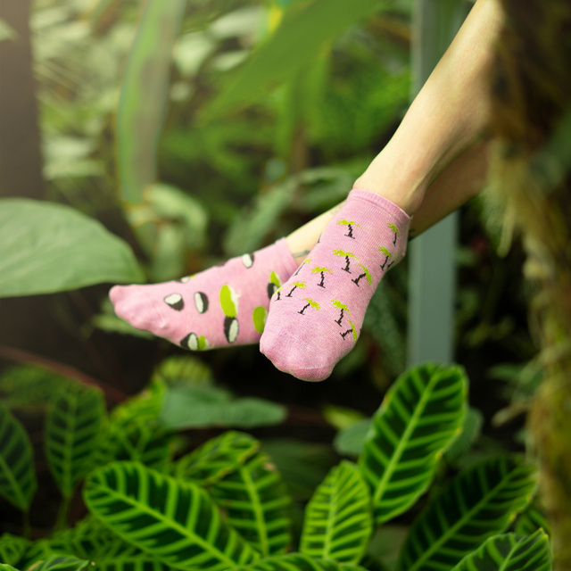 Lot de 5 paires de chaussettes colorées SOXO pour femmes