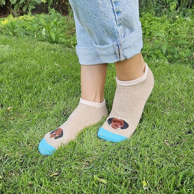 Lot de 5x chiens de pieds colorés pour dames SOXO