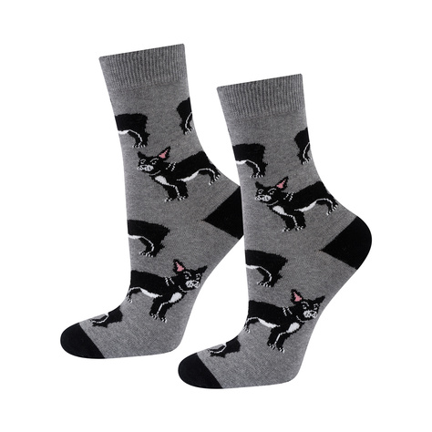 Chaussettes de bouledogue en boîte pour hommes SOXO 