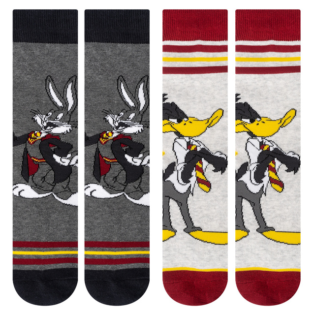 Lot de 2x chaussettes colorées pour hommes | Warner Bros | Bugs et Daffy | idée cadeau