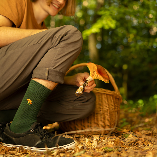 Lot de 4x chaussettes à champignons SOXO pour hommes dans un paquet édition premium