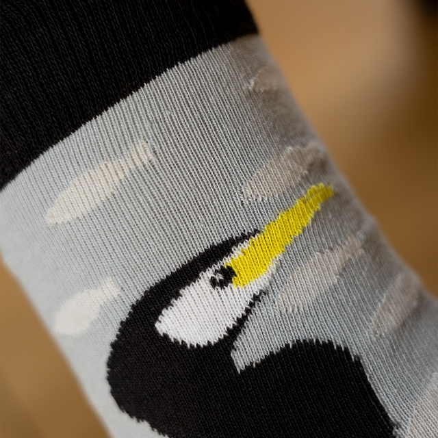 Chaussettes pour hommes SOXO