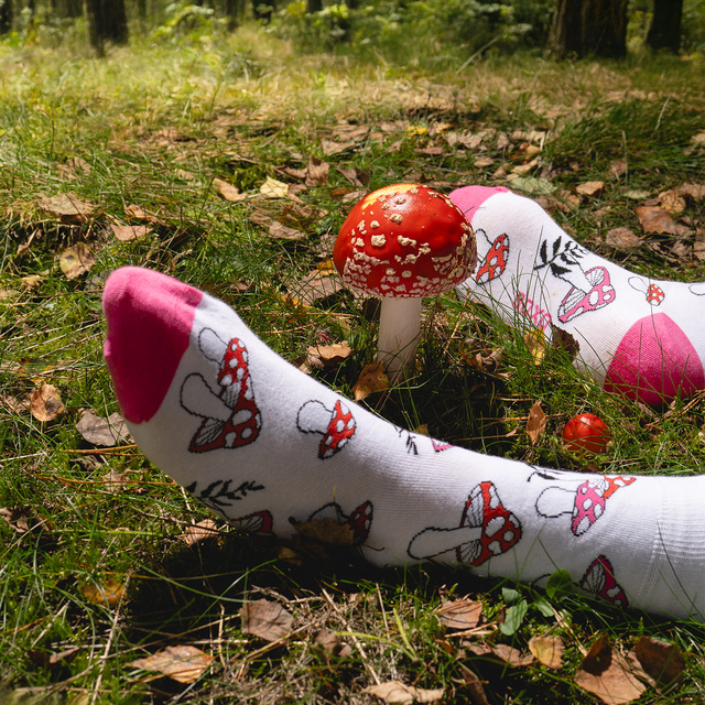 Chaussettes pour femmes SOXO champignons - 2 paires