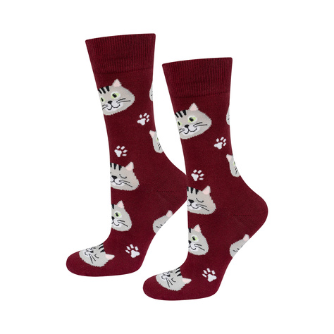 SOXO Chaussettes Femme Homme | Cat in a Box