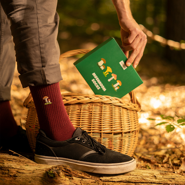 Lot de 4x chaussettes à champignons SOXO pour hommes dans un paquet édition premium