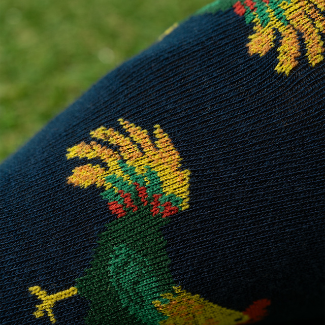 2x Pieds d'homme de Pâques SOXO colorés pour lui