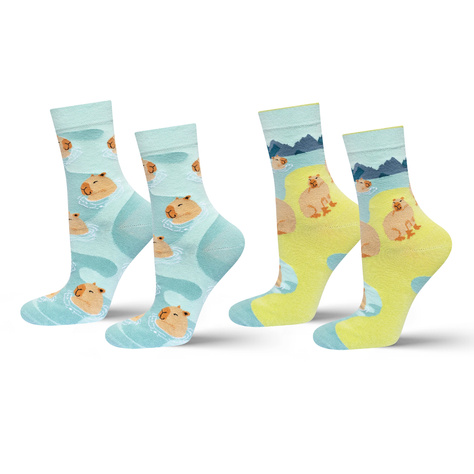 Chaussettes de bain Capybara SOXO Hommes - 2 paires