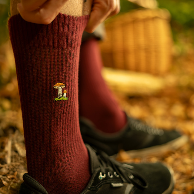 Lot de 4x chaussettes à champignons SOXO pour hommes dans un paquet édition premium