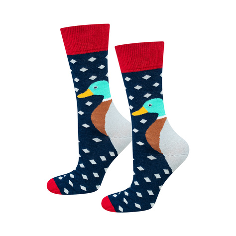 Chaussettes colorées pour hommes SOXO duck